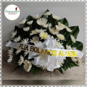 Abanico Floral